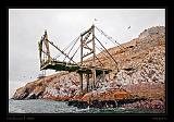 Ballestas Islands 046